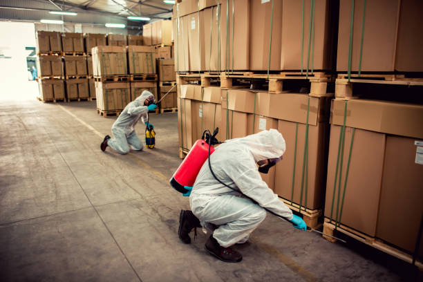 Best Affordable Pest Control Services  in Englishtown, NJ