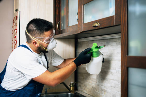 Best Bed Bug Extermination  in Englishtown, NJ
