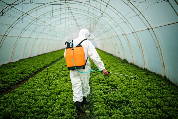 Best Pest Control Near Me  in Englishtown, NJ