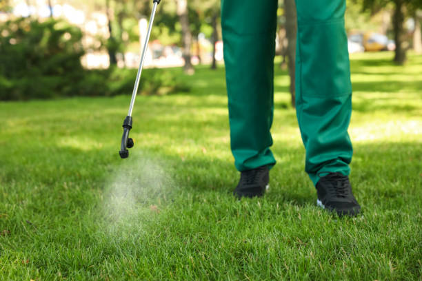 Best Bed Bug Extermination  in Englishtown, NJ