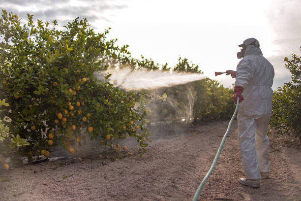 Best Emergency Pest Control  in Englishtown, NJ