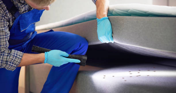 Best Wasp Removal Services  in Englishtown, NJ