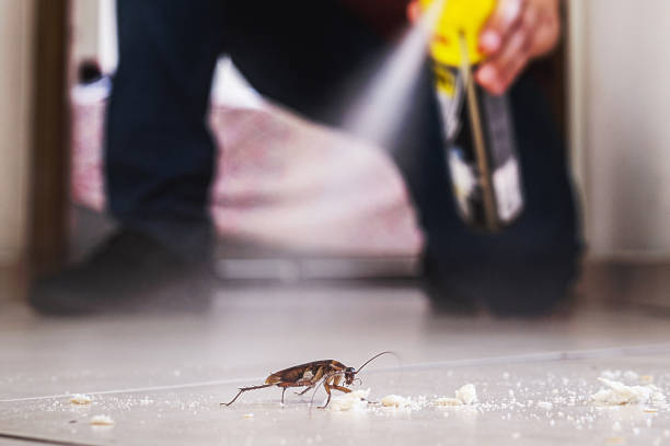 Best Best Pest Control Companies  in Englishtown, NJ