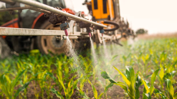 Best Commercial Pest Control Services  in Englishtown, NJ